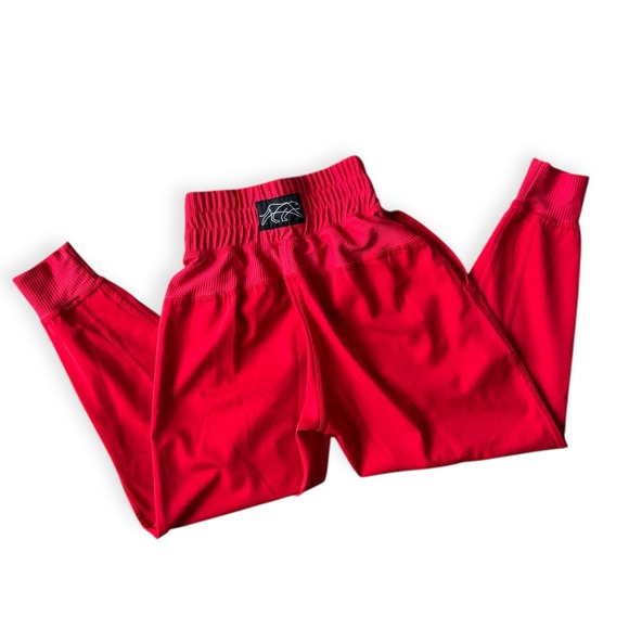 Tiger Friday Other - Tiger Friday Flex Jogger in Red Child Large